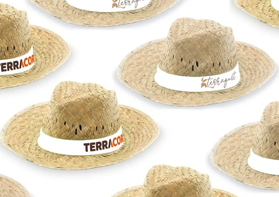 Terracor i Terragust — exemple 2